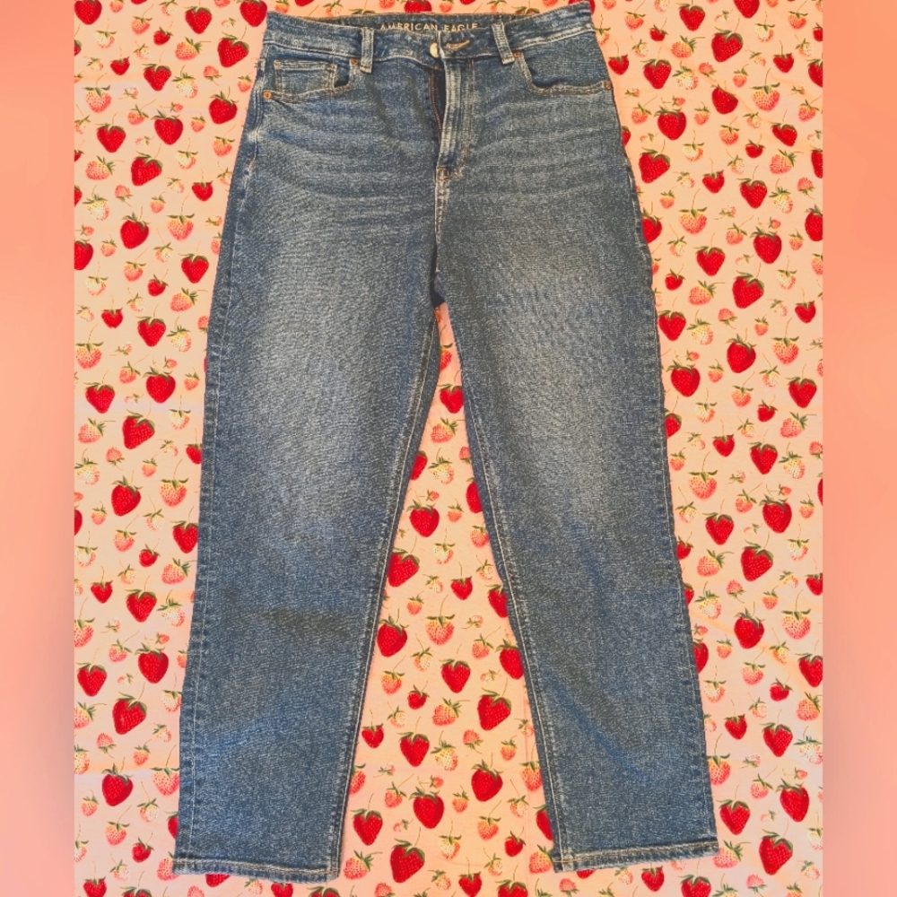 American Eagle Mom Jeans 8R